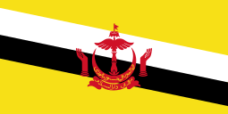 Design your own flag Flag of Brunei