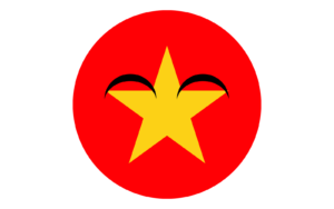Vietnam Ball Flag