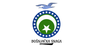 bosniak forces