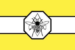 hornets #4