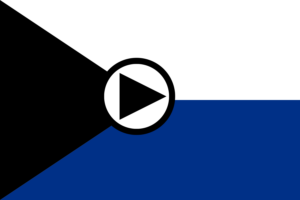 estonia check pause flag