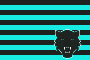 Panther Creek High School Flag