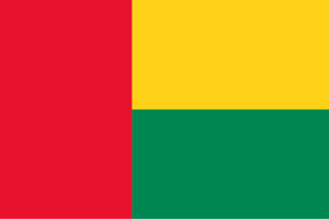 benin design