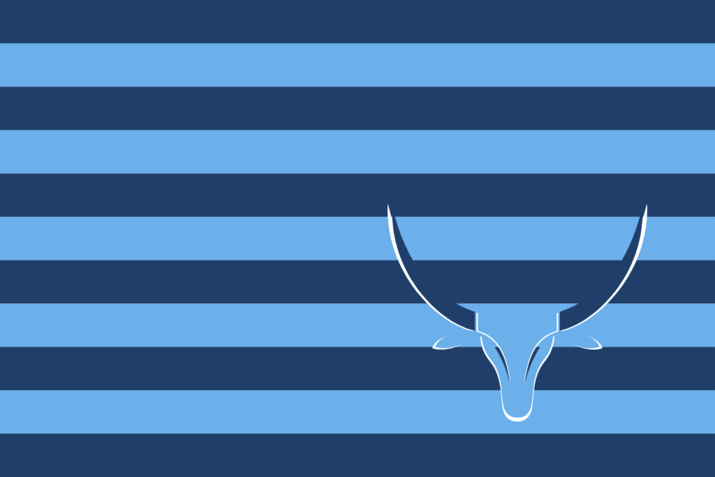 Emerson High School Flag