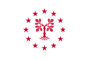 Flag of Eastern Puco