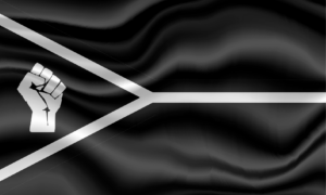South African Socialist State