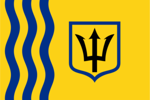 Flag 1