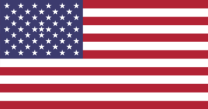 USA Flag 51 star for the 1st state