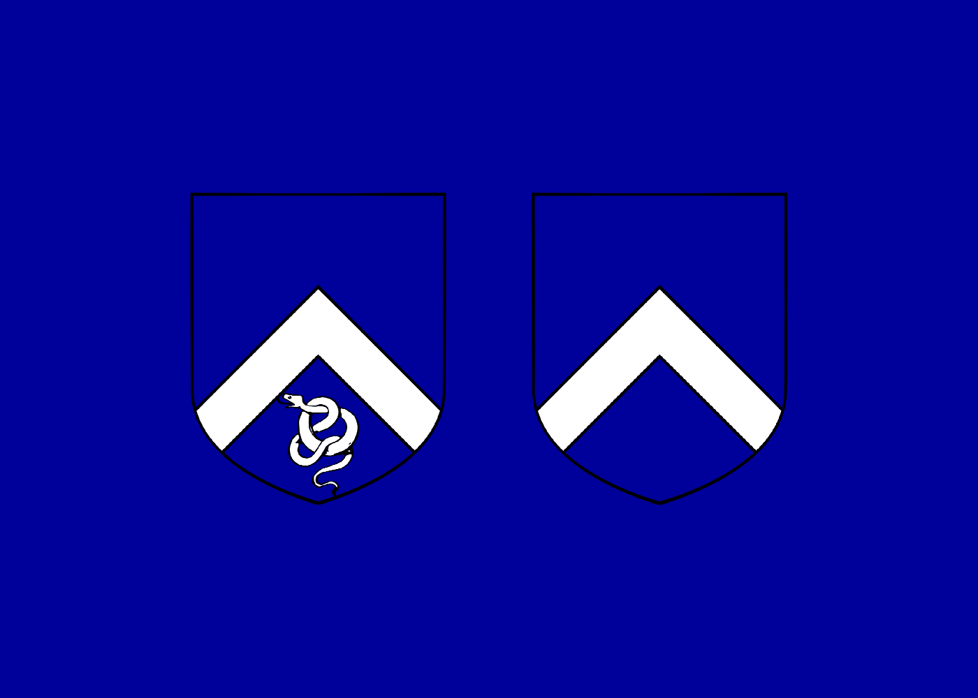 User Design Gallery Flag Creator User Design Gallery Flag Creator