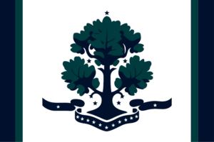 Connecticut Flag Redesign