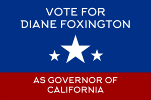 Diane Foxington Governor Campaign flag