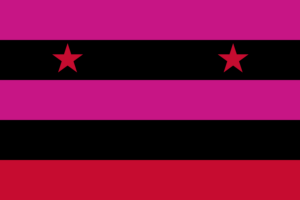 Frank&#8217;s war flag