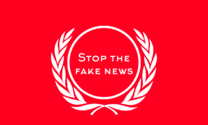 Republic Democracy Force (2)