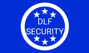 Democratic Liberation Force Security