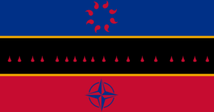 A Central Intelligence Agency Flag