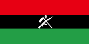 Pan-africanist revoloution