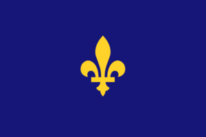 France Emblem Flag