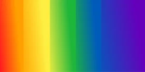 LGBTQ+