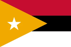Misc flag