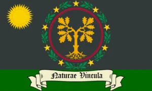 Elven flag