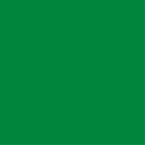 Green square(kvlmk-nbvvcstvm1ck)
