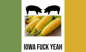 Iowa flag redesign