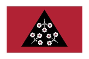 misc flag