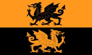 Orange-Black Flag