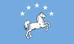 Light Blue-White Flag w/ Horse Under 5 Stars