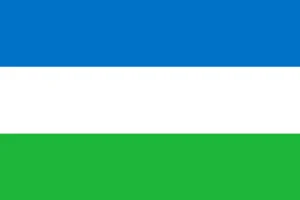 I Dont Know What This Flag