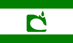 White Desert Republic
