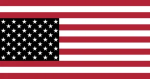 Possible future us flag