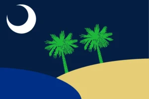 South Carolina Redesign II