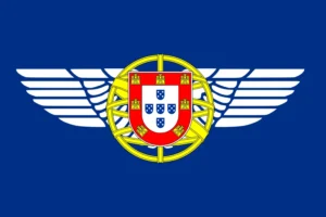 Portuguese Aerial Intervention