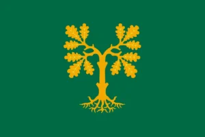 Wood Elves