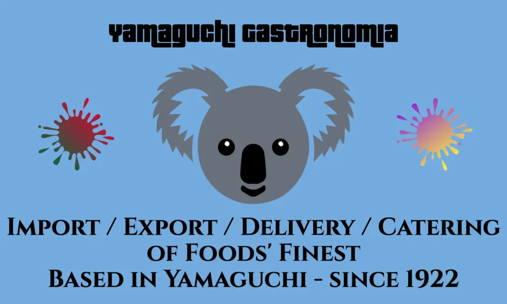 YaGa Flyer