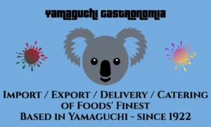 YaGa Flyer