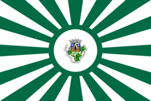 New Porto