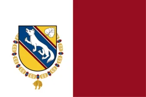 New Flag v1