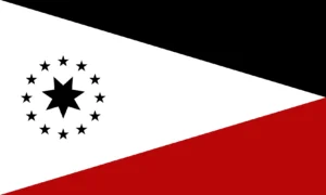 Battlefield0: Workers Party of Pluto flag