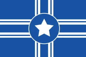 USA flag if They went insane