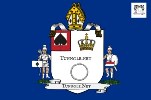 Tunngle.Net Flag Official