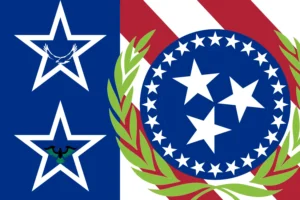 The Government Providence of New Southtown