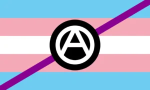 Anarcha-Transfeminism