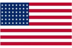 Brent Antoine Drayton’s United States of America Flag Official