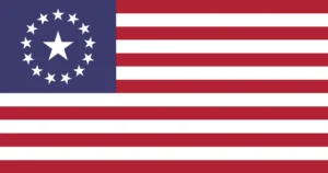 Fallout: USA Flag