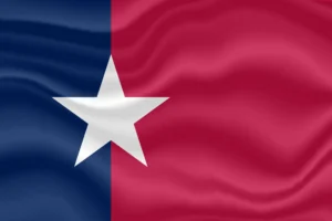 Texan Rebellion(flag of reform)