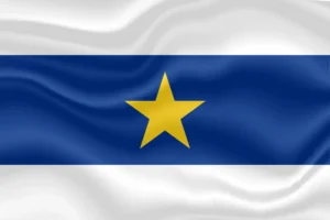 Texan Rebellion(flag of Destiny