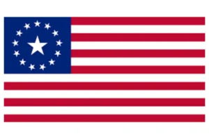 United States of America Flag Fallout