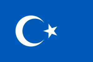Turkic Air Union